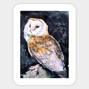 Barn owl at night Sticker